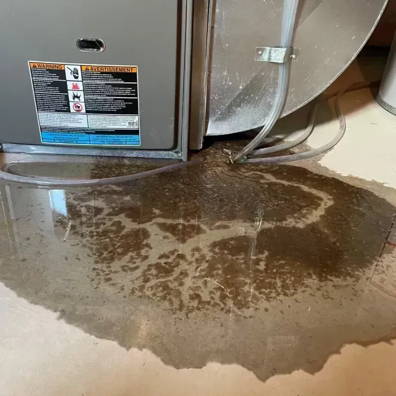 Appliance Leak Cleanup in Wharton, NJ